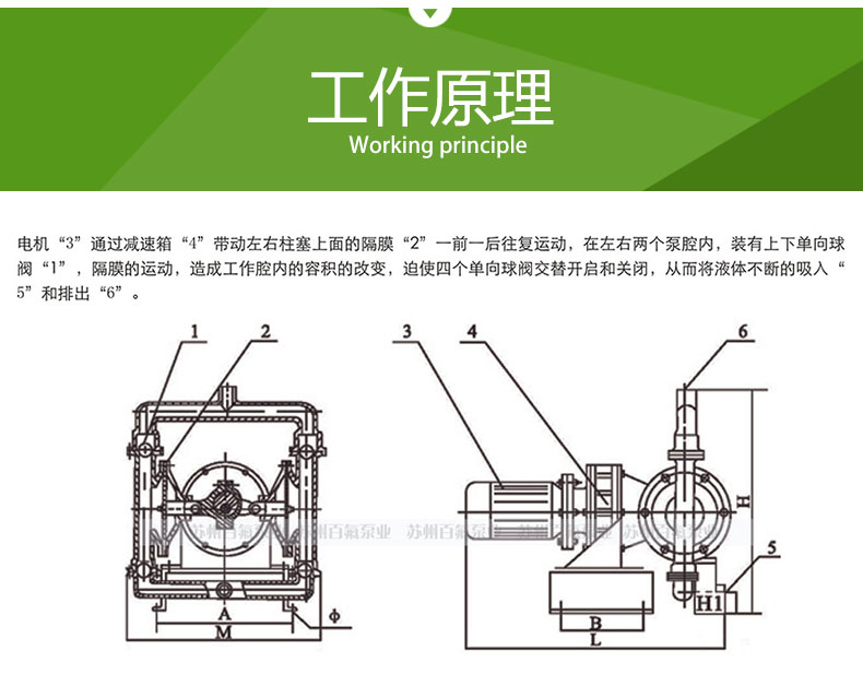 DBY型電動隔膜泵(圖3)
